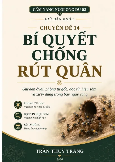 Chuyên đề 14: Bí quyết chống rút quân