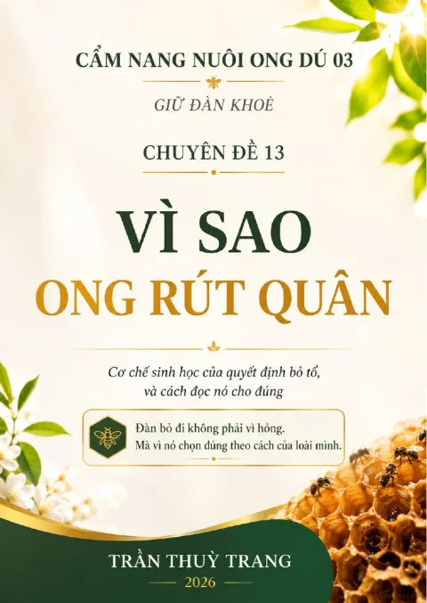 Chuyên đề 13 – Vì sao ong rút quân?